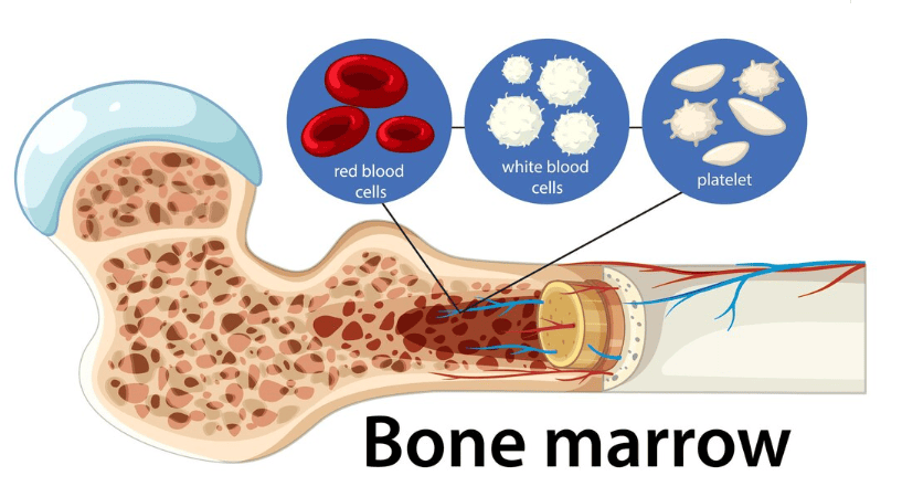 Best Bone Marrow Transplant Hematologist and CAR T Cell Specialist in Mumbai